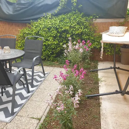 Moet With Garden Пула