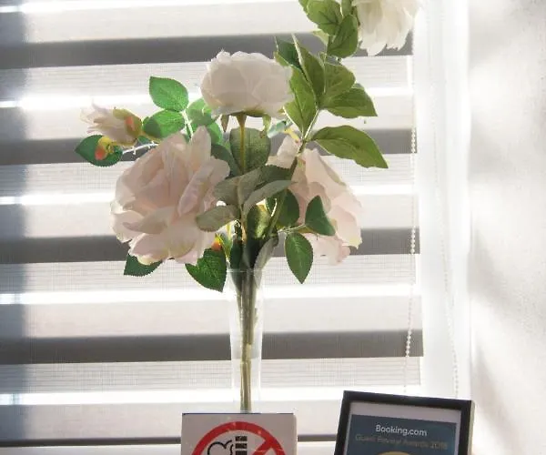 Moet With Garden Πούλα