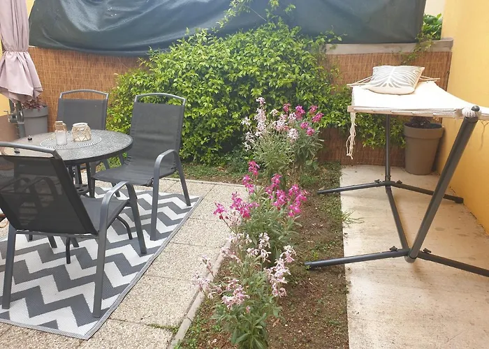 Moet With Garden Πούλα