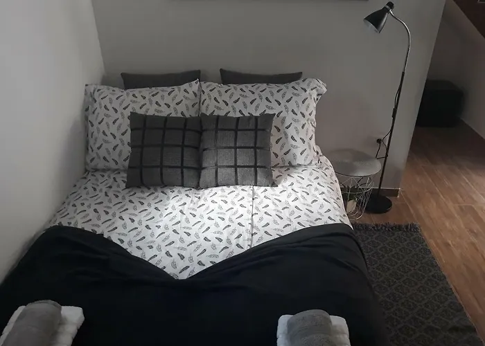 Moet With Garden Πούλα